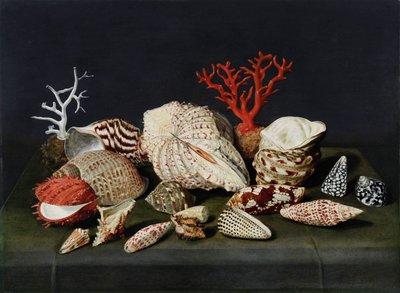Still Life with Shells and Coral by Jacques Linard
